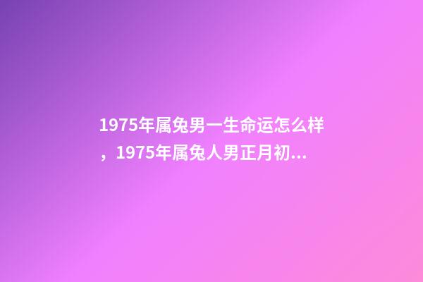 1975年属兔男一生命运怎么样，1975年属兔人男正月初九生一生命运. 75年属兔是什么命男，1975年属兔人的命运-第1张-观点-玄机派